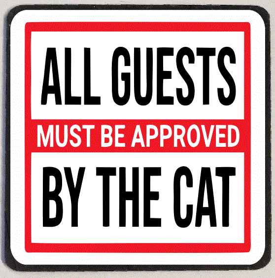 M234 Approved By The Cat Funny Refrigerator Magnet - Iris Fashion Jewelry