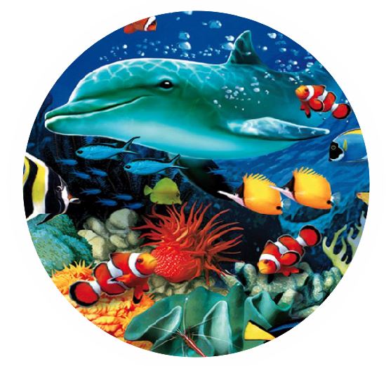 CT19 Fish Coaster
