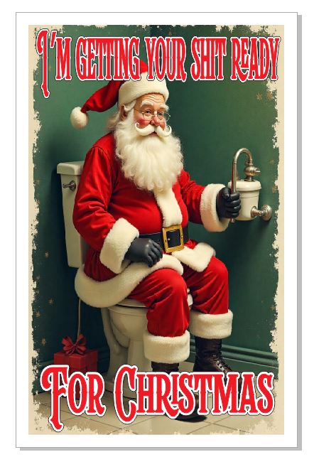 GC25 Christmas Card Xmas Card Funny Bathroom Humor