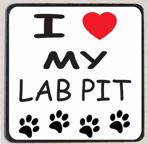 M255 Lab Pit Refrigerator Magnet