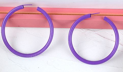 E252 Purple Hoop Earrings - Iris Fashion Jewelry