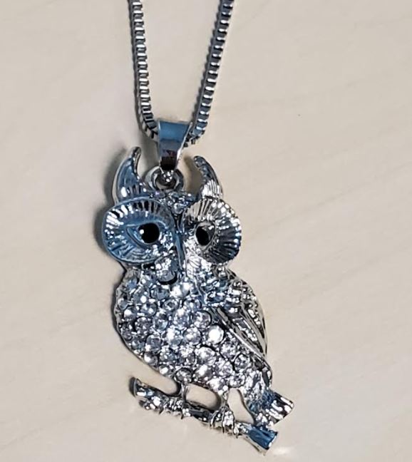 N773 Silver Rhinestone Owl Necklace with FREE Earrings - Iris Fashion Jewelry