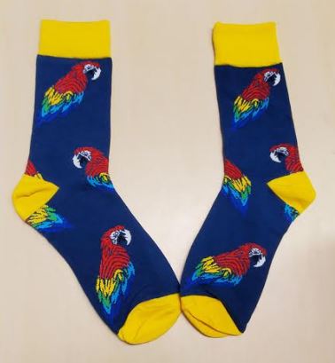 SF1132 Blue & Yellow Parrot Socks - Iris Fashion Jewelry