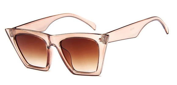 S401 Brown Frame & Lens Fashion Sunglasses - Iris Fashion Jewelry