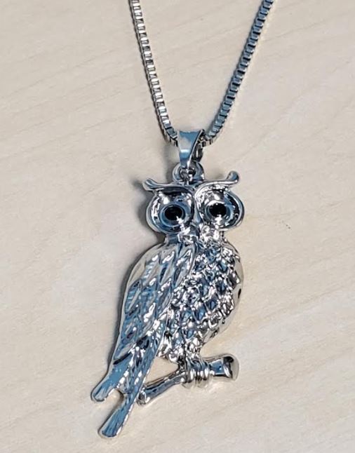 N897 Silver Owl Necklace with FREE Earrings - Iris Fashion Jewelry