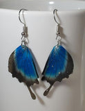 E1737 Silver Blue & Black Glitter Acrylic Butterfly Earrings - Iris Fashion Jewelry