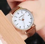 W459 Brown Crocodile Collection Quartz Watch - Iris Fashion Jewelry