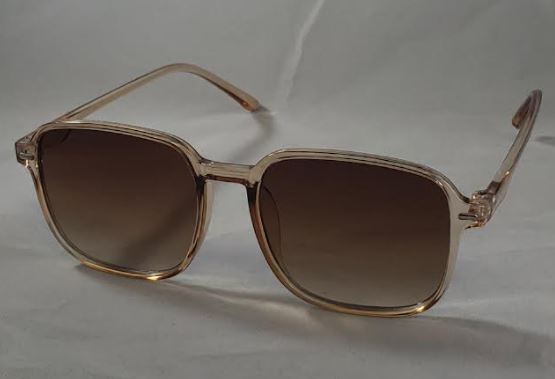 S161 Champagne Frame Fashion Sunglasses - Iris Fashion Jewelry