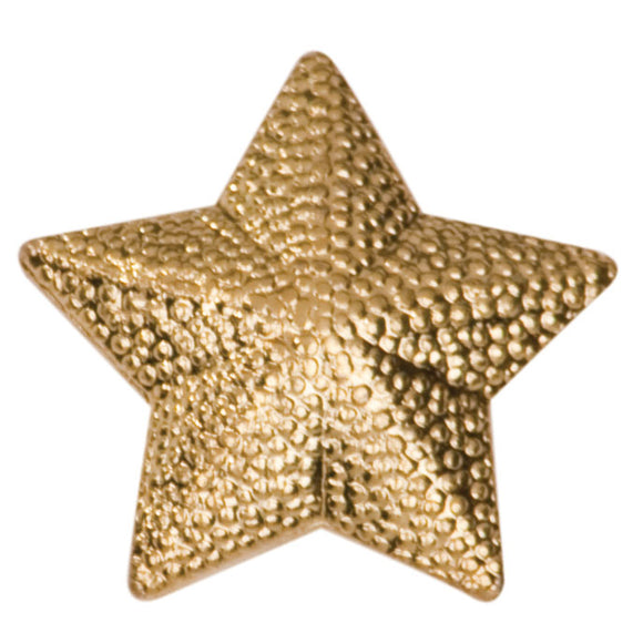F31 Star Tie Tack Lapel Pin - Iris Fashion Jewelry