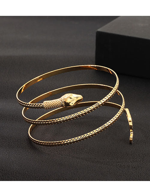 B824 Gold Snake Bracelet - Iris Fashion Jewelry