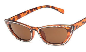 S316 Leopard Frame Silver Accent Sunglasses - Iris Fashion Jewelry