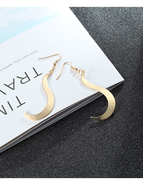 E57 Gold Smooth Squiggle Earrings - Iris Fashion Jewelry