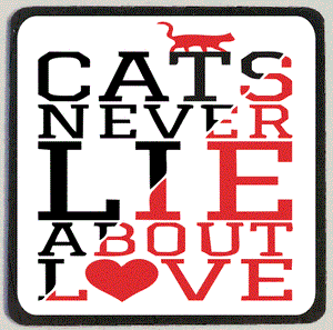 M186 Cats Never Lie Magnet - Iris Fashion Jewelry