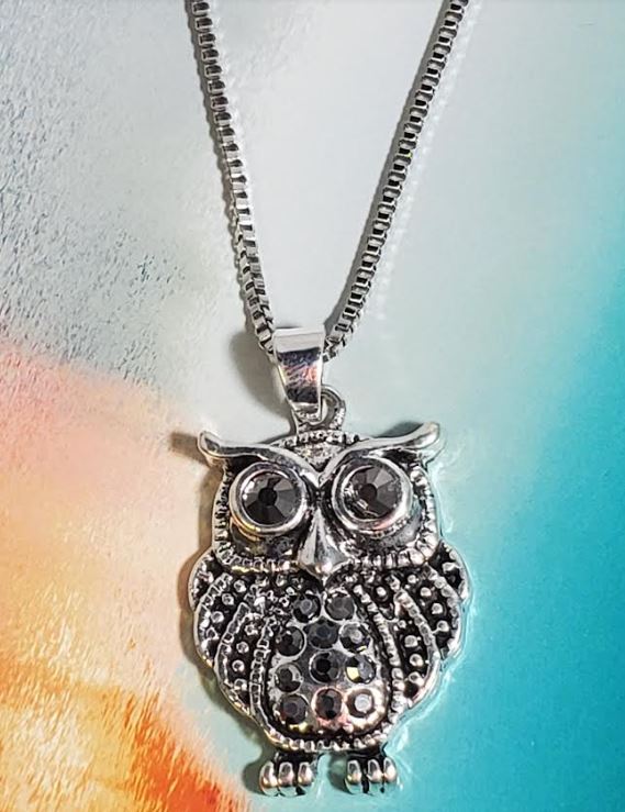 AZ102 Silver Rhinestone Owl Necklace with FREE Earrings - Iris Fashion Jewelry