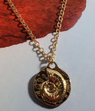 N1742 Gold Sea Shell Necklace with Free Earrings - Iris Fashion Jewelry