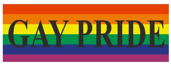 ST-D392 Gay Pride Gay Rights Equality Bumper Sticker