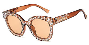 S116 Coffee Hollywood Star Sunglasses - Iris Fashion Jewelry