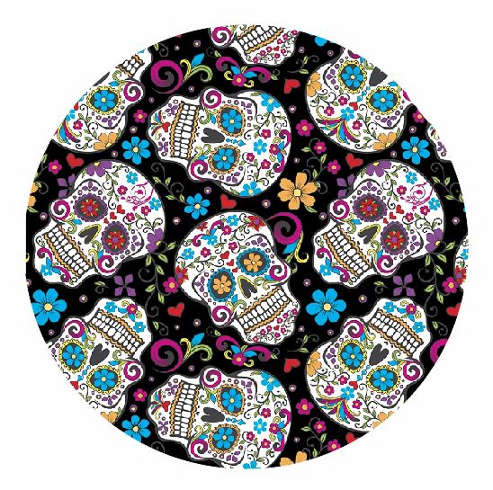 CT20 Sugar Skulls Coaster