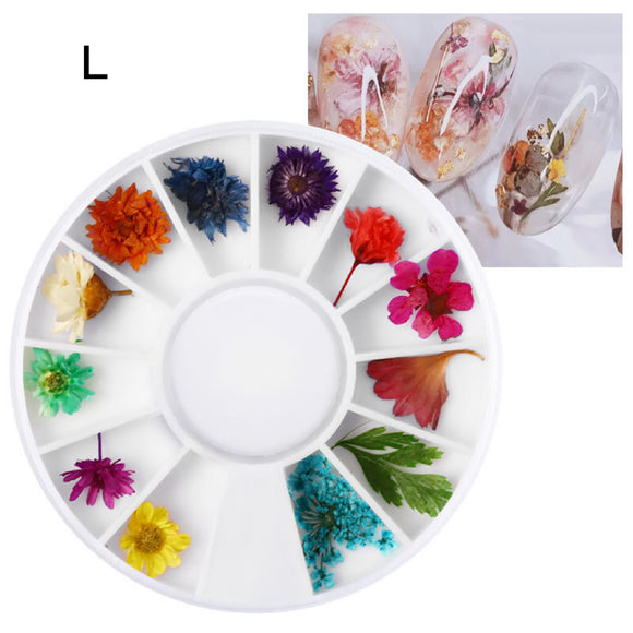 NS48 Dried Flowers Deco Set L - Iris Fashion Jewelry