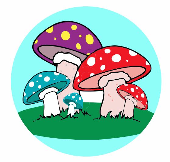 CT04 Mushrooms Coaster